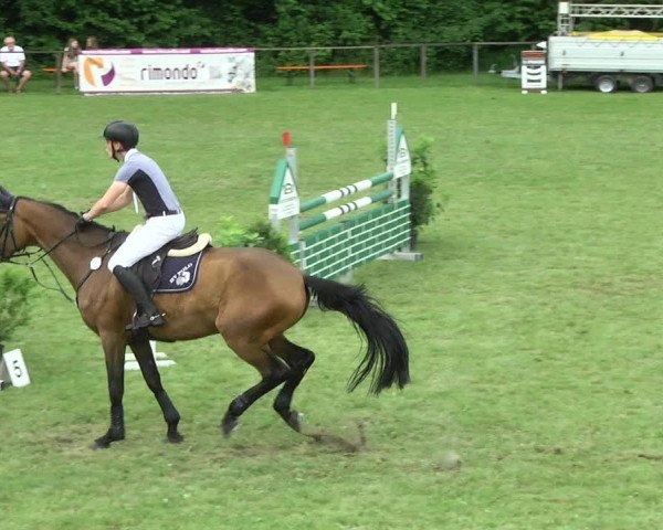 Reitturnier Jettingen 2017