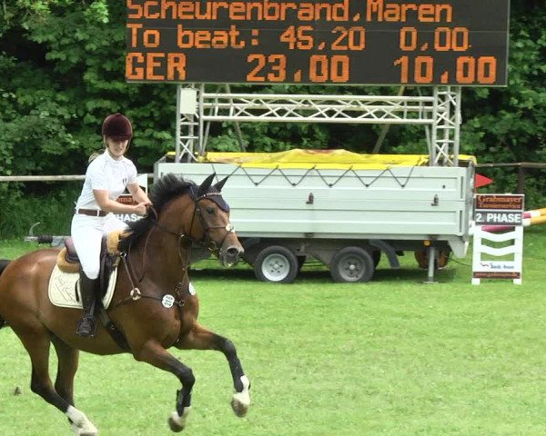 Reitturnier Jettingen 2017