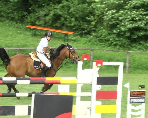 Reitturnier Jettingen 2017