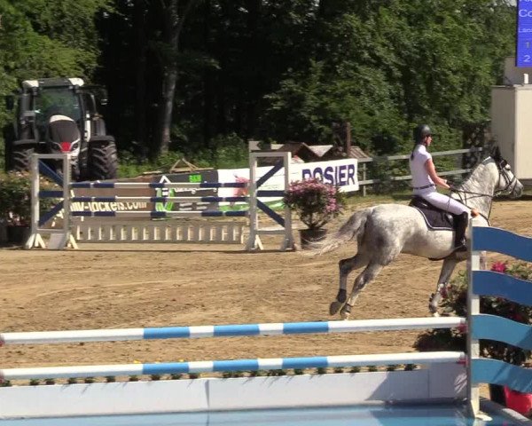 Reitturnier Iserlohn-Kalthof 2017