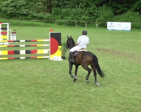 Reitturnier Jettingen 2017