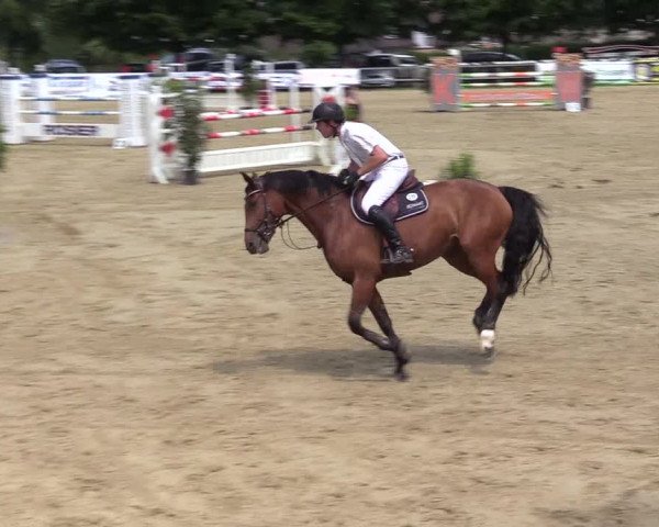 Reitturnier Iserlohn-Kalthof 2017