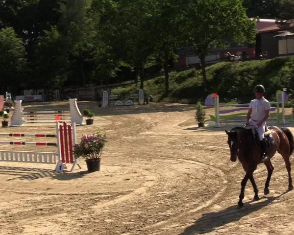 Reitturnier Iserlohn-Kalthof 2017
