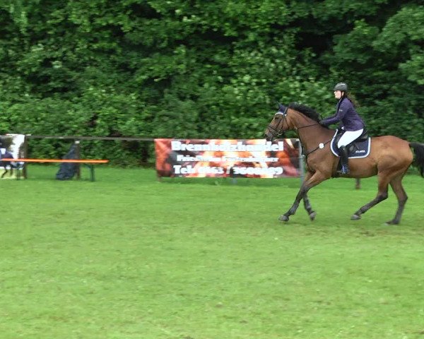 Reitturnier Jettingen 2017