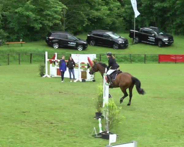 Reitturnier Jettingen 2017