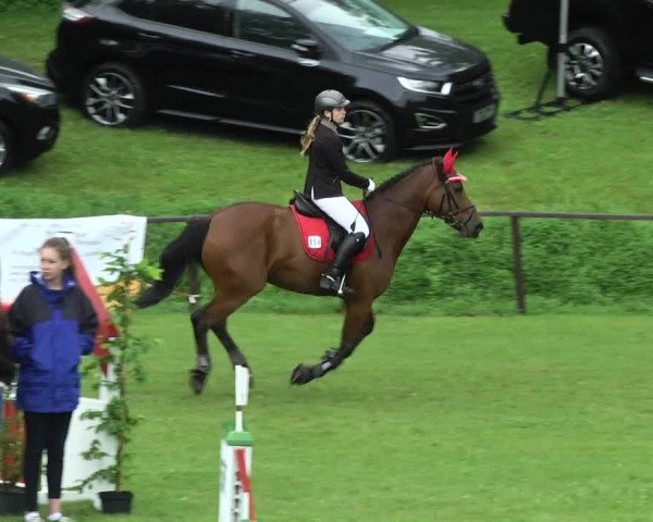 Reitturnier Jettingen 2017