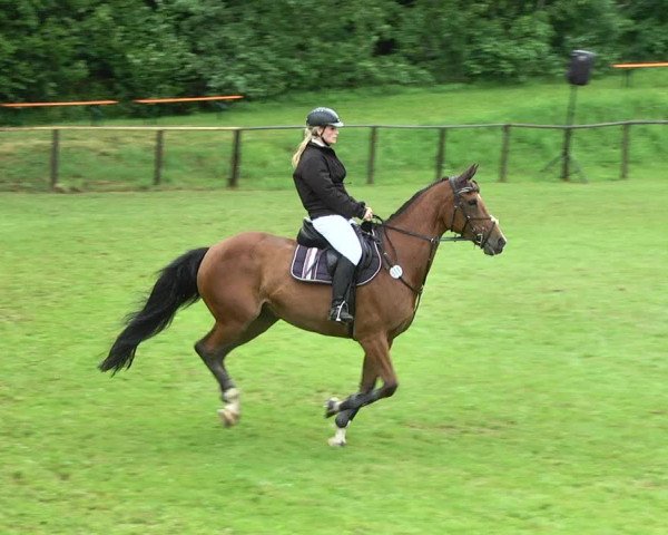 Reitturnier Jettingen 2017