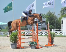 jumper Happynes (KWPN (Royal Dutch Sporthorse), 2012, from Eldorado van de Zeshoek)