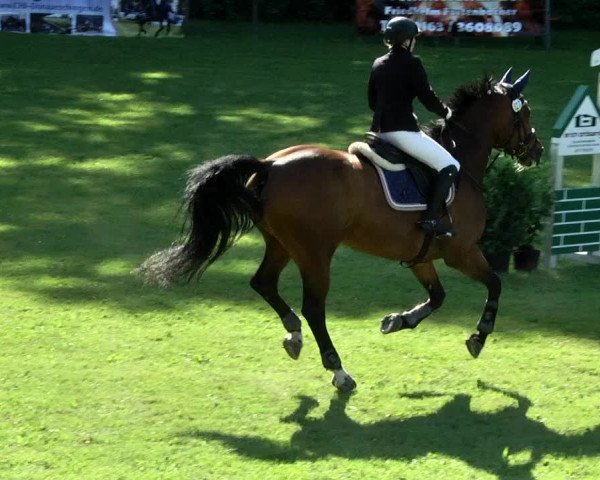 Reitturnier Jettingen 2017