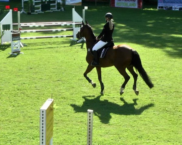 Reitturnier Jettingen 2017