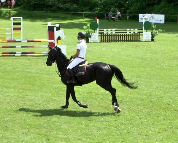 Reitturnier Jettingen 2017