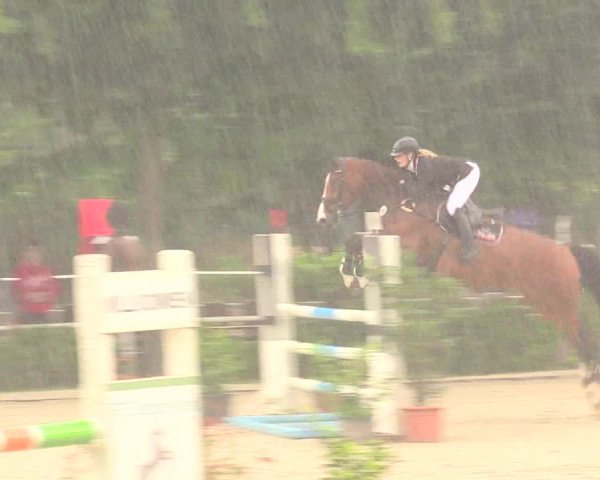 Reitturnier Bochum-Nord 2017