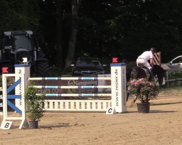 Reitturnier Iserlohn-Kalthof 2017
