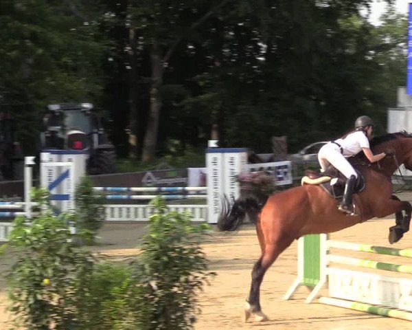Reitturnier Iserlohn-Kalthof 2017