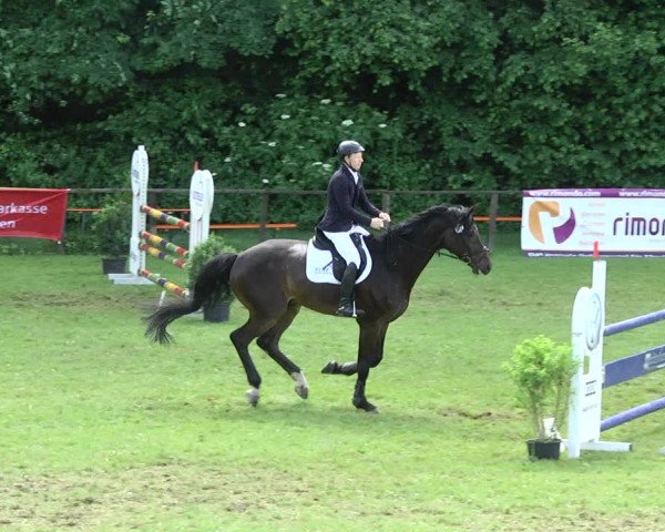 Reitturnier Jettingen 2017