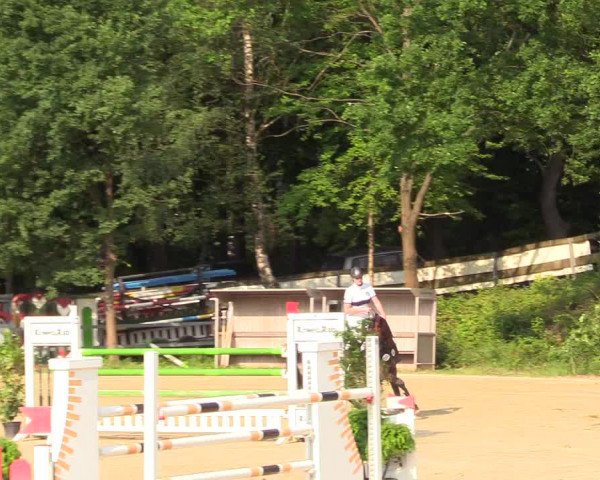 Reitturnier Iserlohn-Kalthof 2017