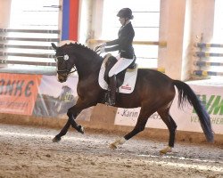 jumper Fürstin Fiene (Hanoverian, 2012, from Fürst Grandios)