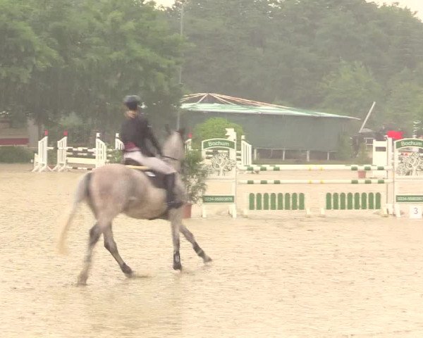 Reitturnier Bochum-Nord 2017