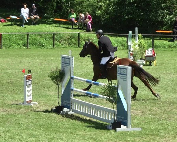 Reitturnier Jettingen 2017