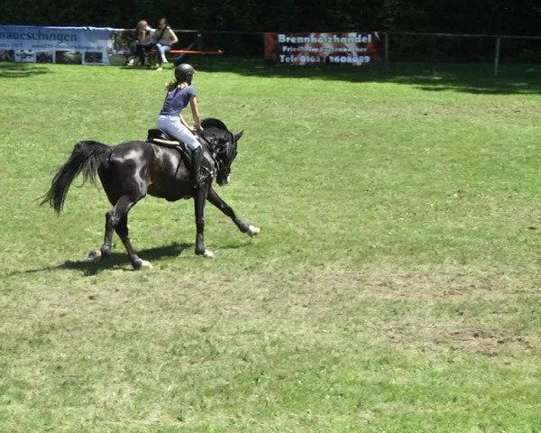 Reitturnier Jettingen 2017