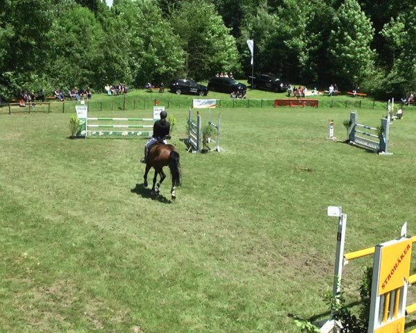 Reitturnier Jettingen 2017