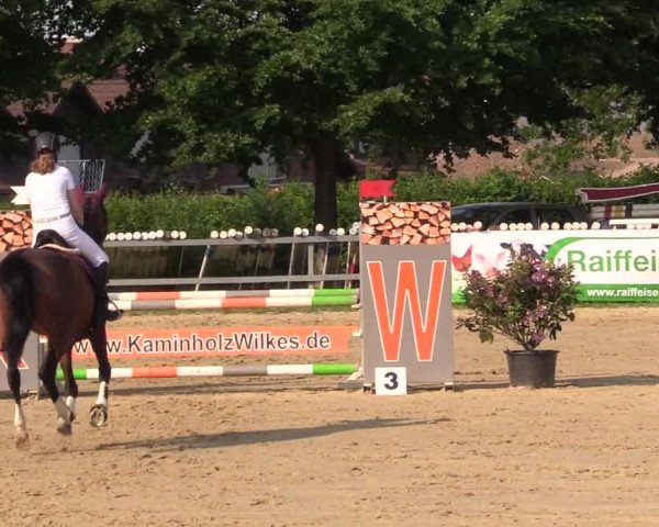 Reitturnier Iserlohn-Kalthof 2017