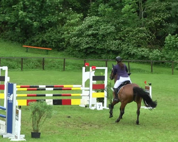 Reitturnier Jettingen 2017