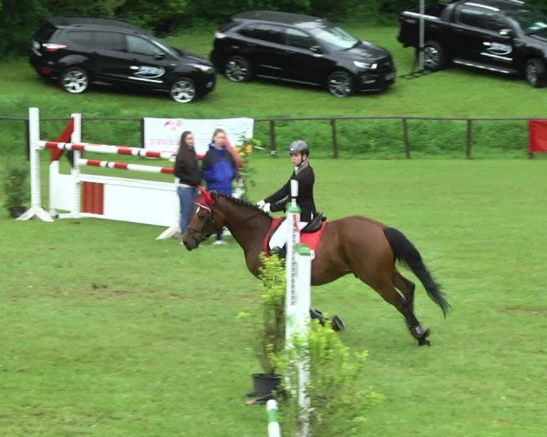 Reitturnier Jettingen 2017