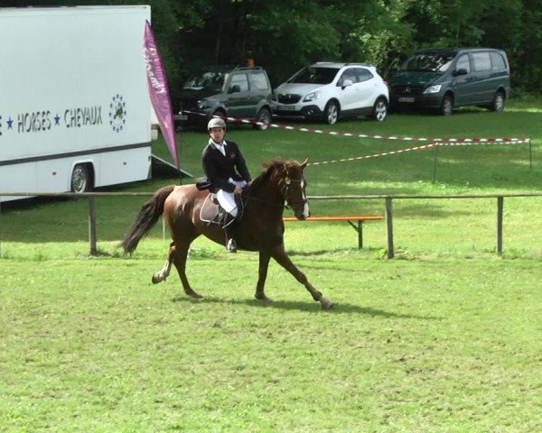Reitturnier Jettingen 2017