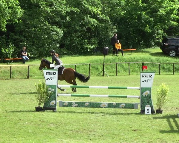 Reitturnier Jettingen 2017