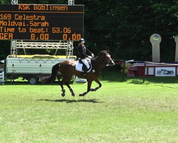 Reitturnier Jettingen 2017