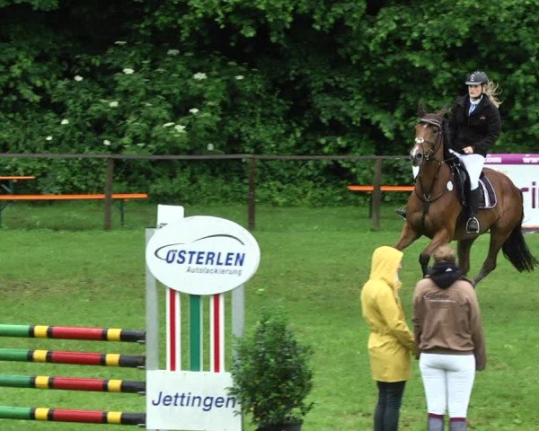 Reitturnier Jettingen 2017