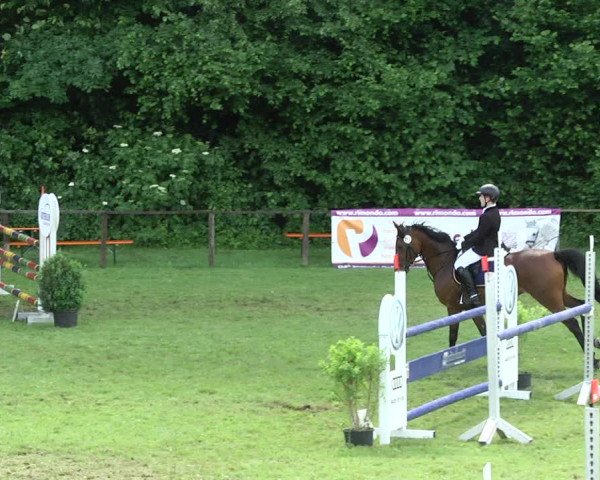 Reitturnier Jettingen 2017