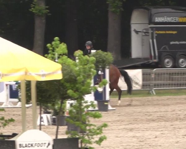 Reitturnier Mönchengladbach-Wickrath 2017