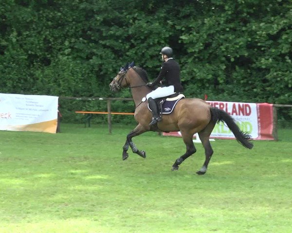 Reitturnier Jettingen 2017