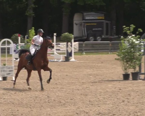 Reitturnier Mönchengladbach-Wickrath 2017