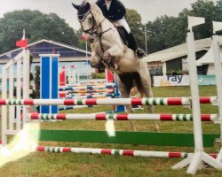 Springpferd Graf Turus (Hannoveraner, 2013, von Graf Top)