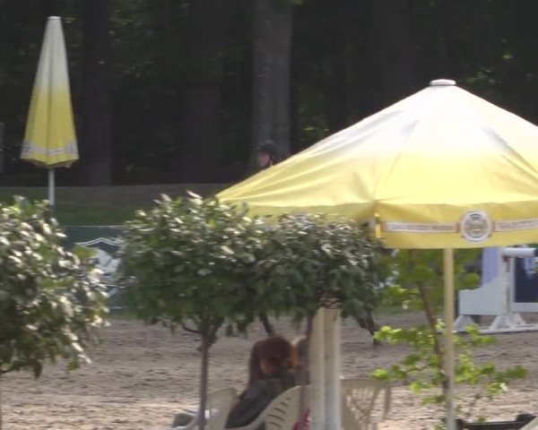 Reitturnier Mönchengladbach-Wickrath 2017