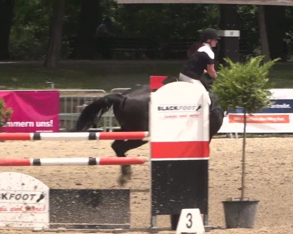 Reitturnier Mönchengladbach-Wickrath 2017