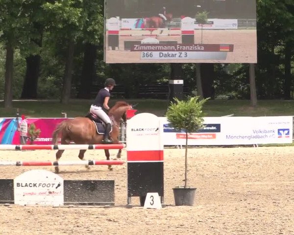 Reitturnier Mönchengladbach-Wickrath 2017