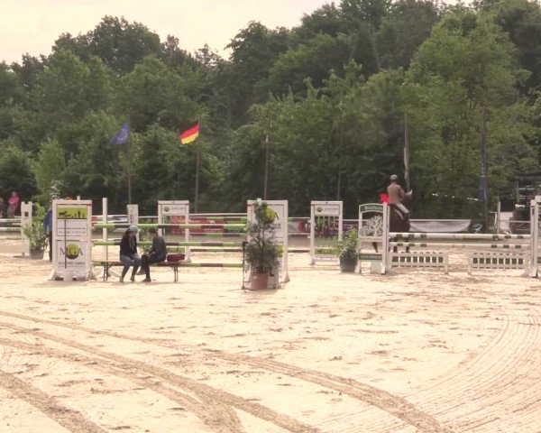 Reitturnier Bochum-Nord 2017