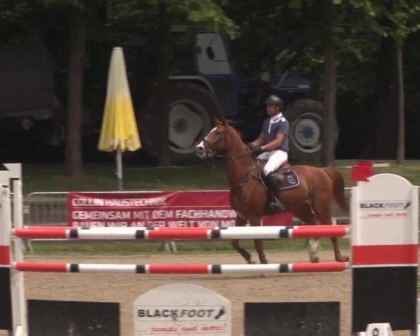 Reitturnier Mönchengladbach-Wickrath 2017