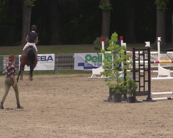 Reitturnier Mönchengladbach-Wickrath 2017