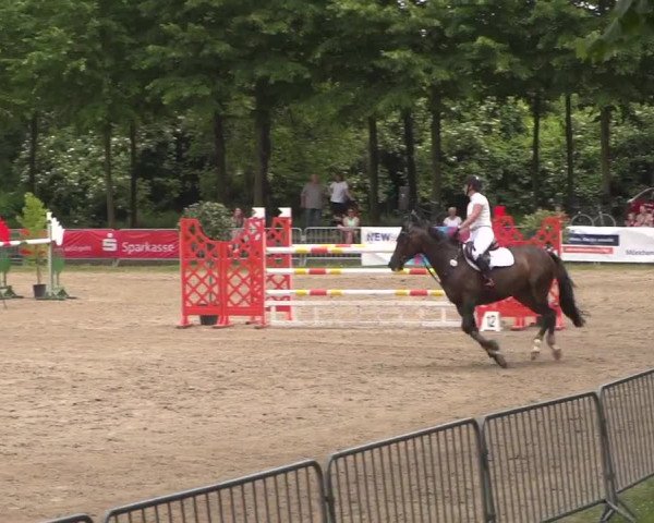 Reitturnier Mönchengladbach-Wickrath 2017