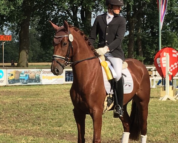 horse Estoril 22 (Westphalian, 2014, from Estobar NRW)
