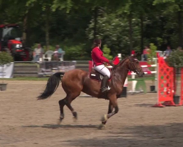 Reitturnier Mönchengladbach-Wickrath 2017