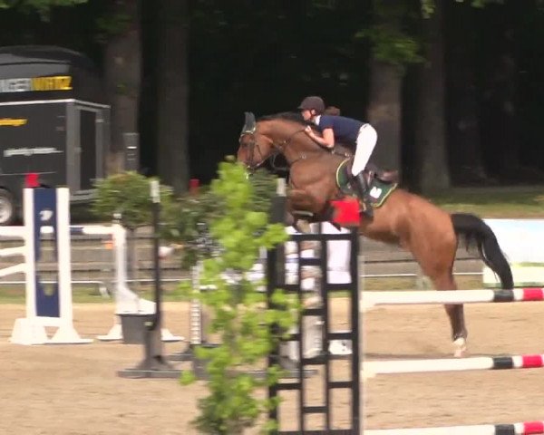 Reitturnier Mönchengladbach-Wickrath 2017
