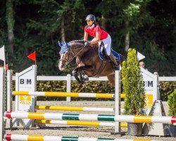 jumper Casallino 5 (Holsteiner, 2008, from Casall Ask)