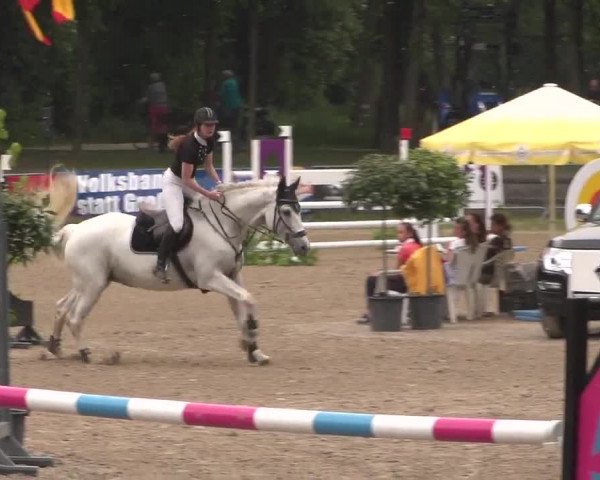 Reitturnier Mönchengladbach-Wickrath 2017