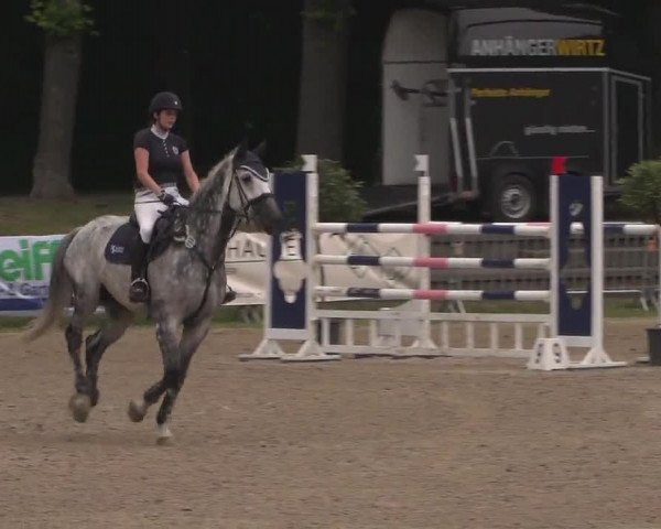 Reitturnier Mönchengladbach-Wickrath 2017